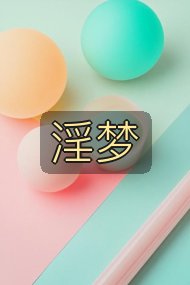 淫梦封面