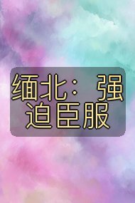 缅北：强迫臣服封面