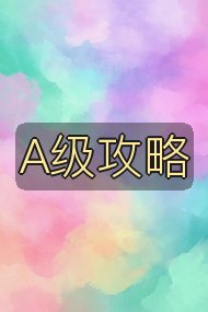 A级攻略封面