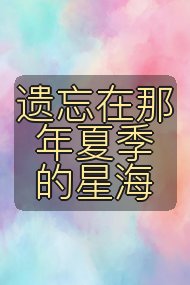 遗忘在那年夏季的星海封面