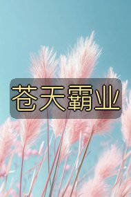 苍天霸业封面