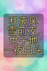 和离风雪前夜，世子他一夜白头封面