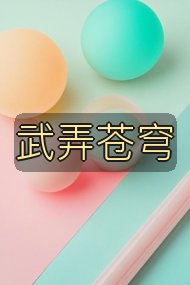 武弄苍穹封面