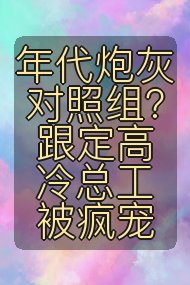 年代炮灰对照组？跟定高冷总工被疯宠封面
