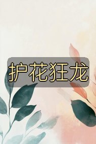 护花狂龙封面