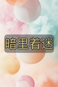 暗里着迷封面